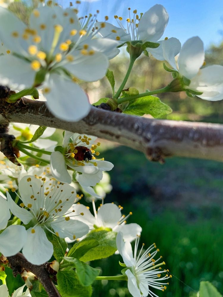 Photograph by Полина Галянина
