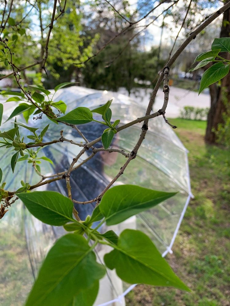 Photograph by Полина Галянина