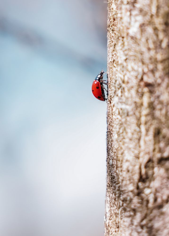 Photograph by Надежда Бехер