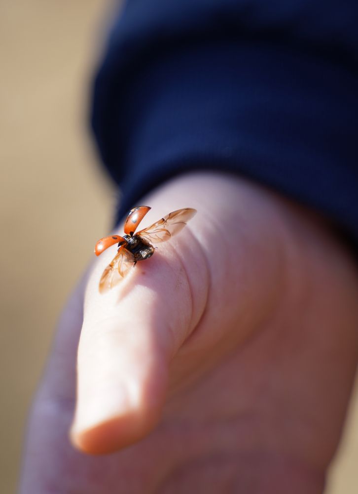 Photograph by Надежда Бехер