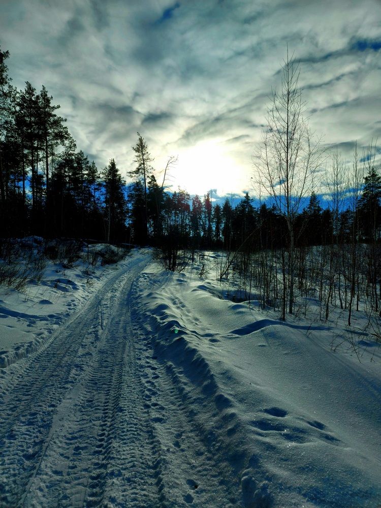 Сине-белая зима...
