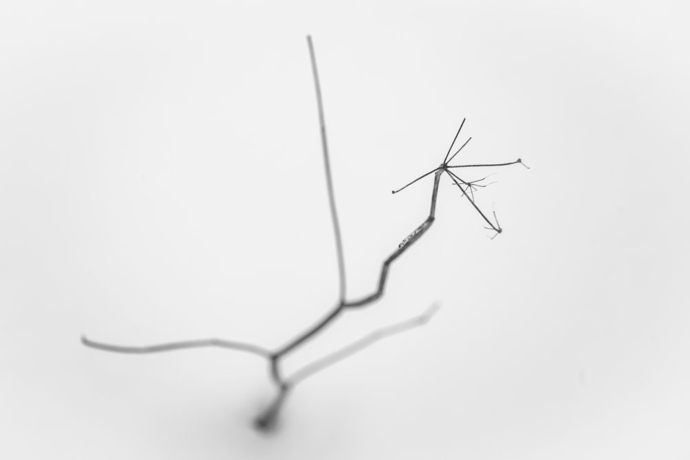 Photograph by Артем Полинин