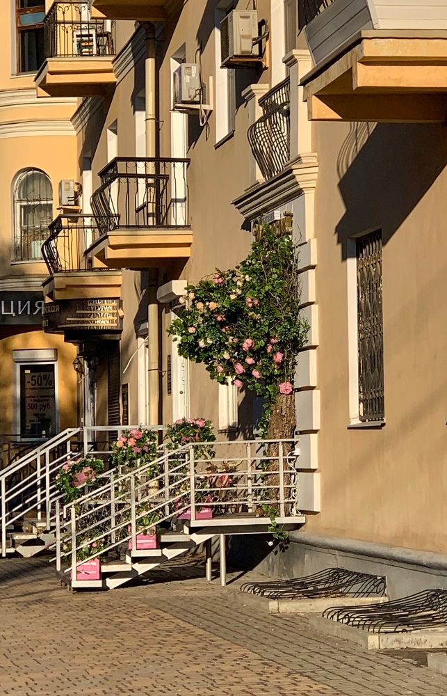 Photograph by Полина Галянина