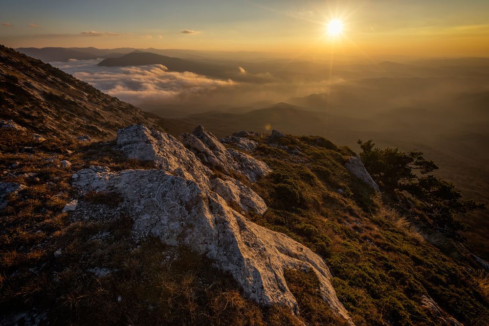 Photograph by Юрий Головченко