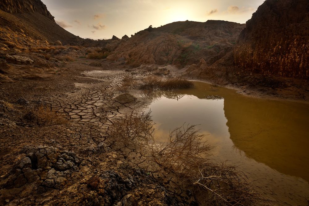 Photograph by Юрий Головченко