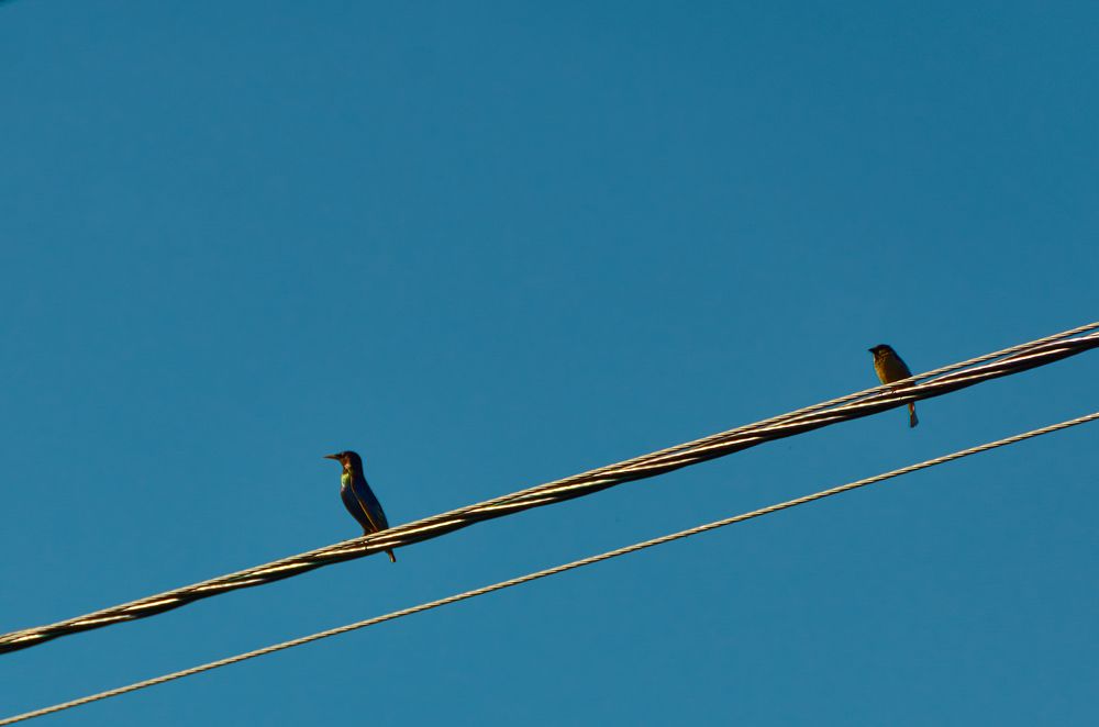 Photograph by Сергей