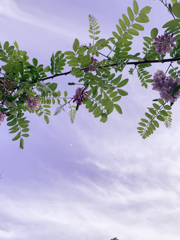 Photograph by Полина Галянина