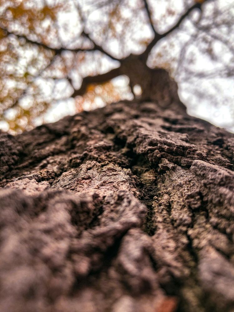 Photograph by mahnaz maleki