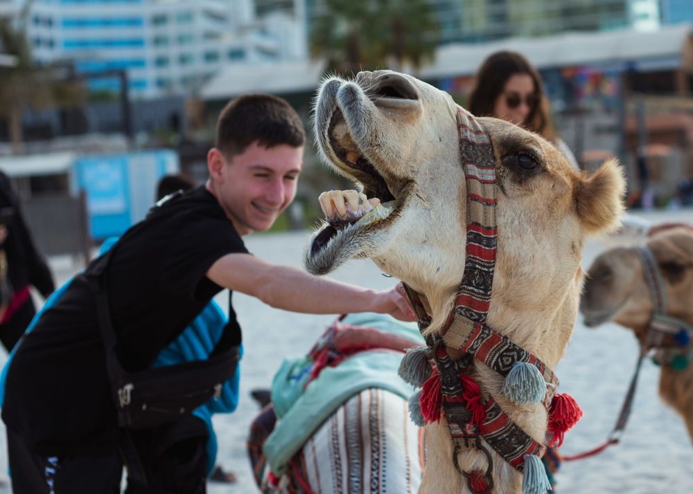 Photograph by Василий Клейменов