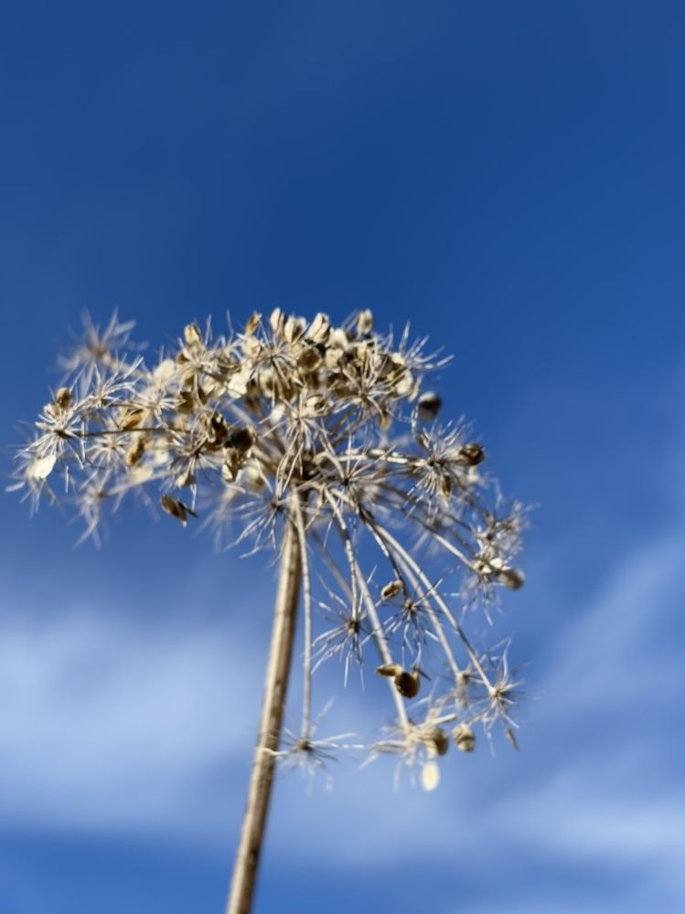 Photograph by Елена Горбунова