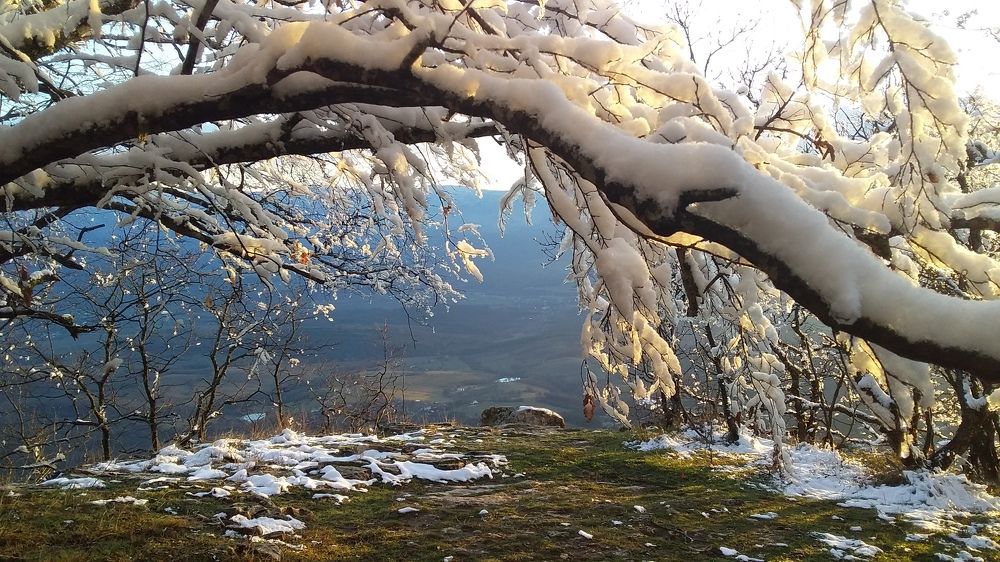 Photograph by Евгения Загудаева