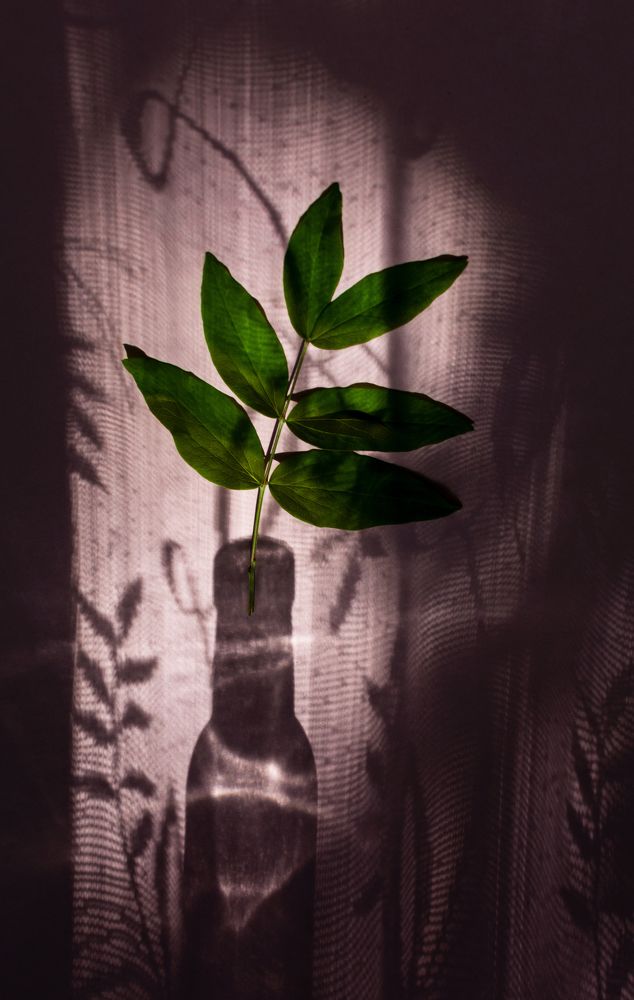 Photograph by Кристина Сотникова