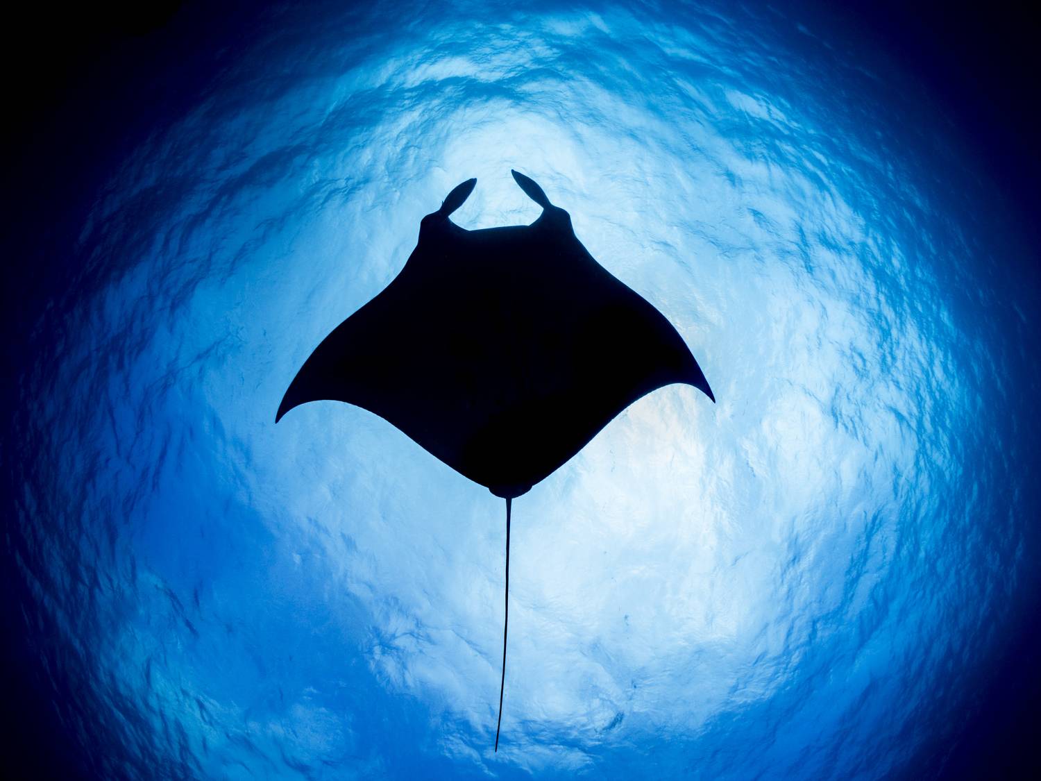 Фотография #7367911