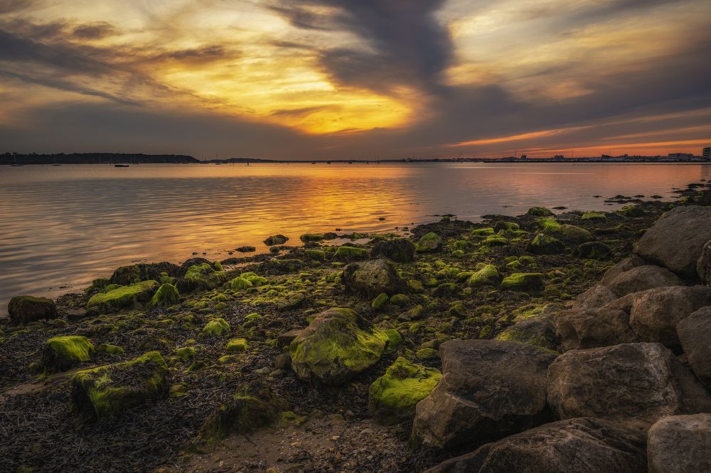 Photograph by Mariusz Wieczorek