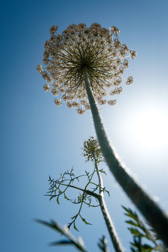 Photograph by Алёна Думнова