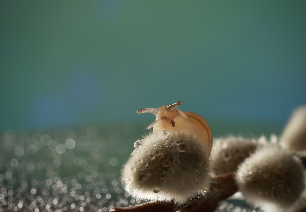 Photograph by Малика Маткарим