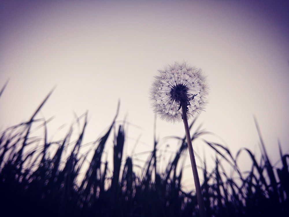 Photograph by Nazu wani