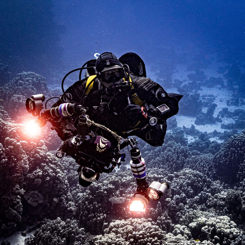 Photograph by Плотников Дмитрий