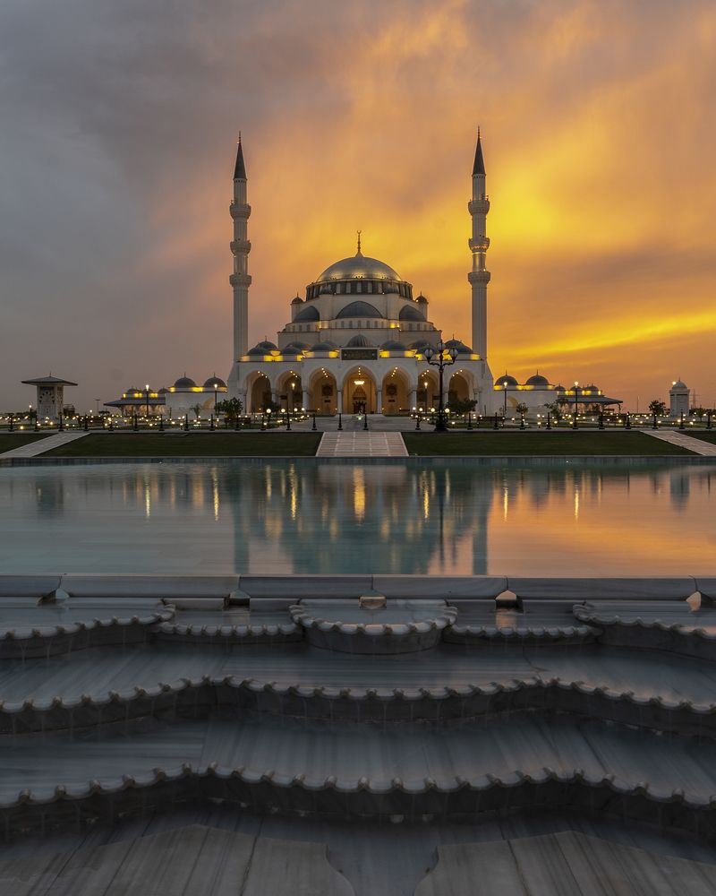 Photograph by seham mohammed