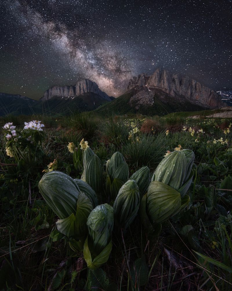 Photograph by Евгений Антонов