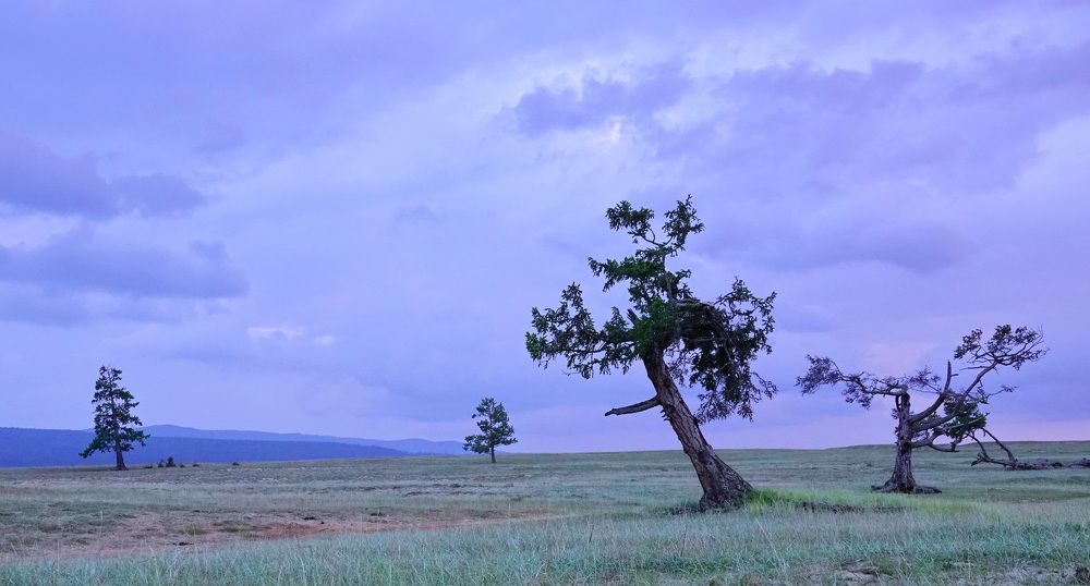 Фотография автора Алексей Голоушкин