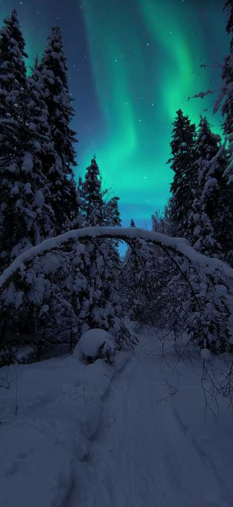 Photograph by Галина Походенко