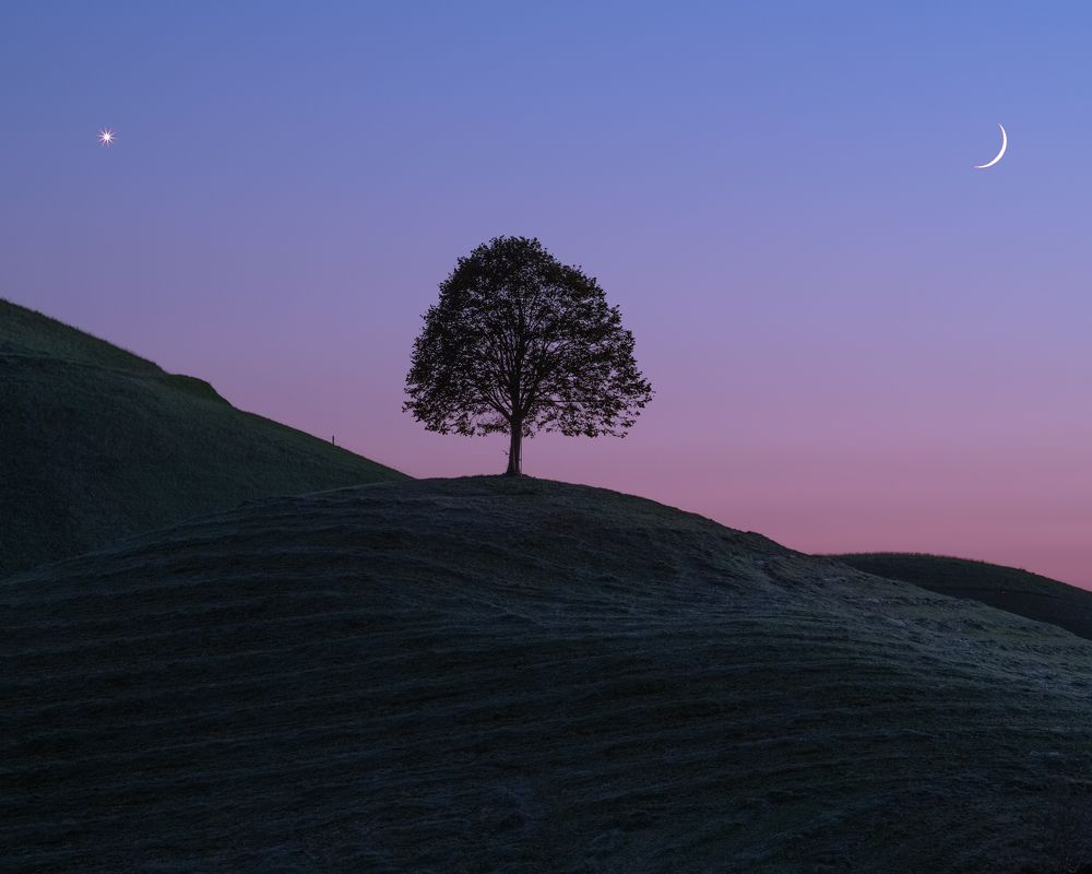 Photograph by Benjamin Barakat