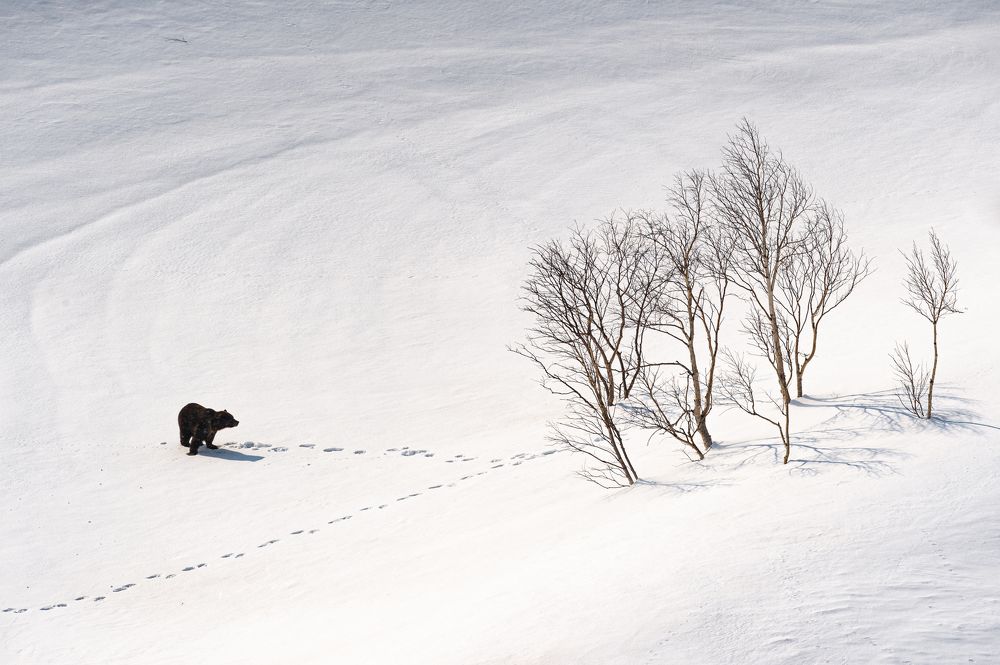 Ранний подъем