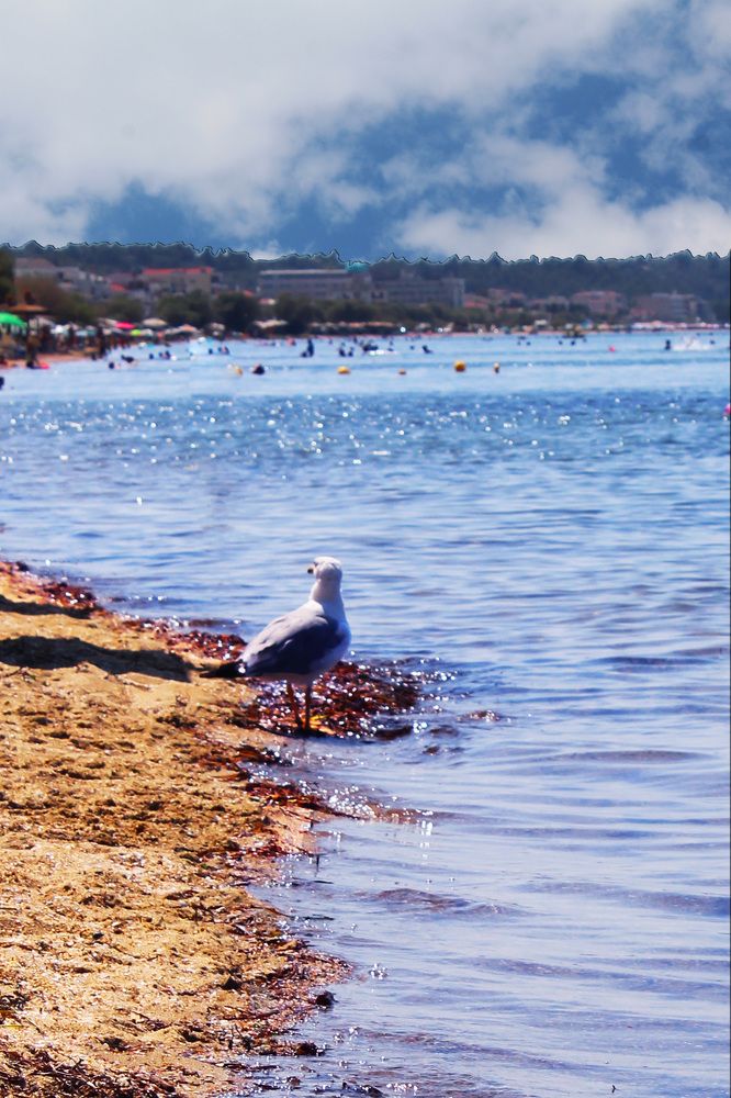 Photograph by GEORGIOS ARMOUTSIDIS