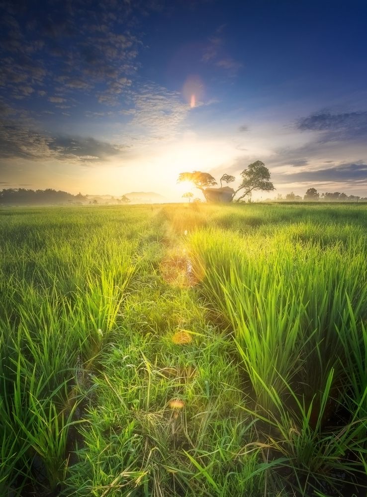 hari baru petualangan baru