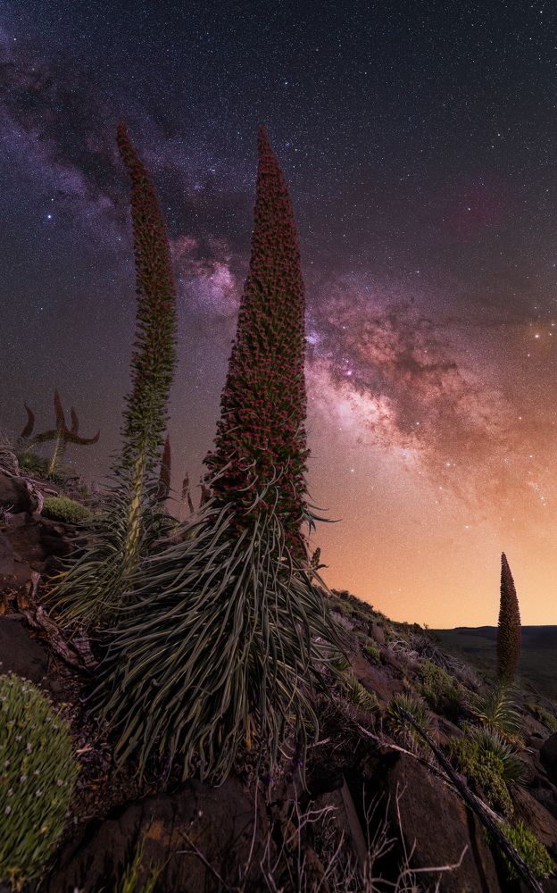 Photograph by Benjamin Barakat