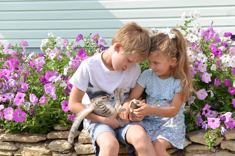 Мгновения детства