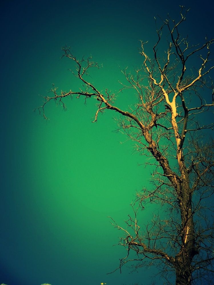 Photograph by Стефанова Татьяна