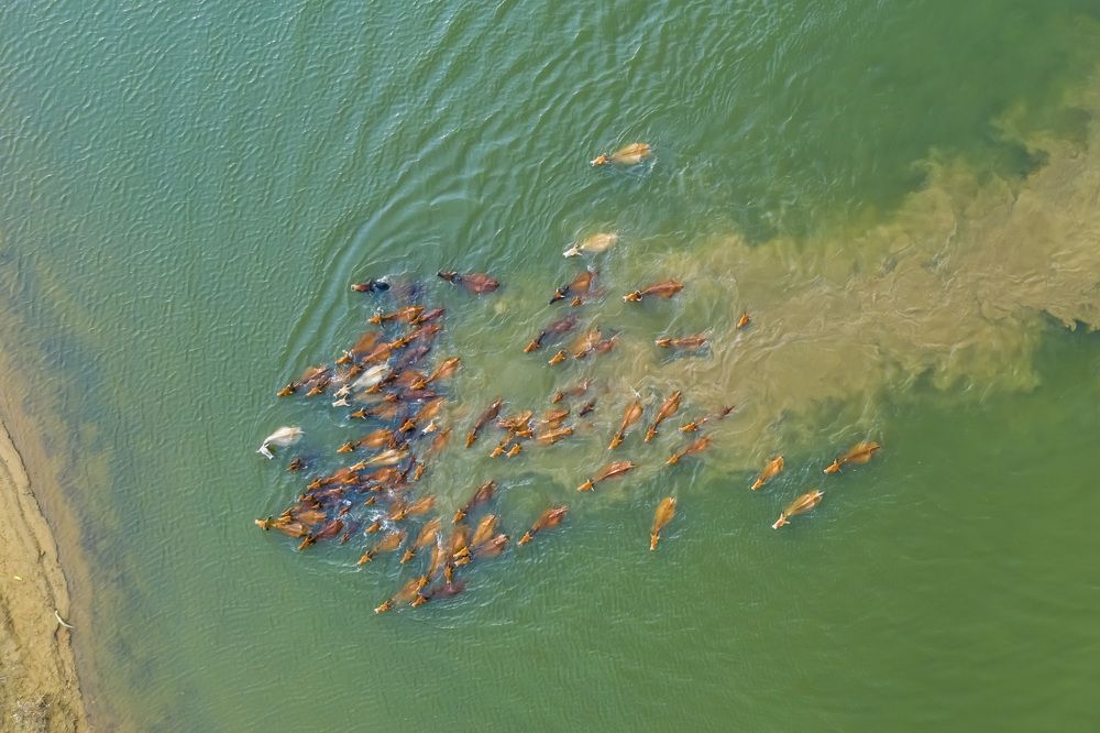 Photograph by Hợp Lò