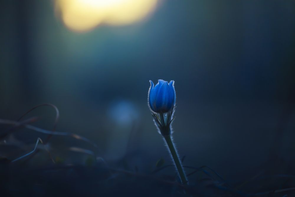 Photograph by Влад Макеенков