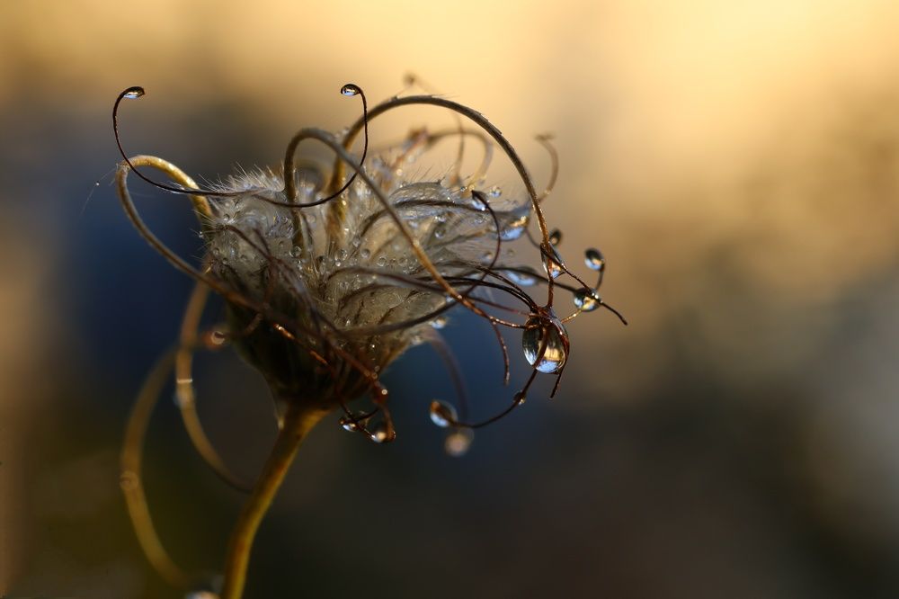 Photograph by Светлана Богомолова