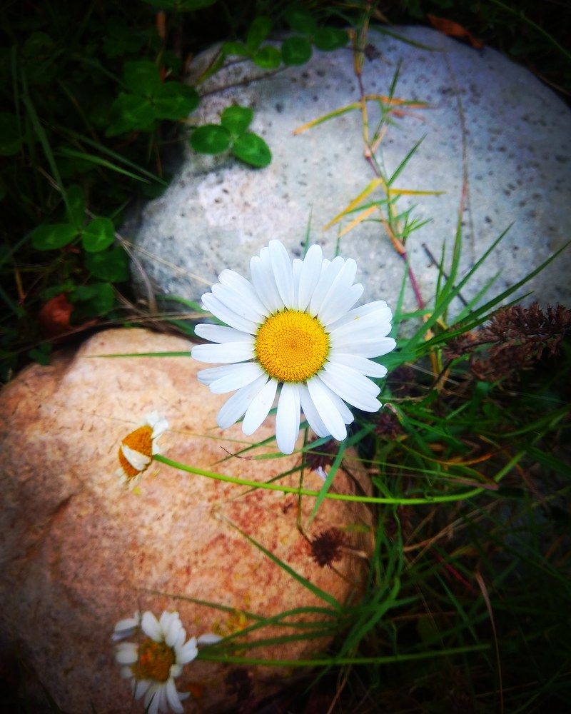 Photograph by Nazu wani