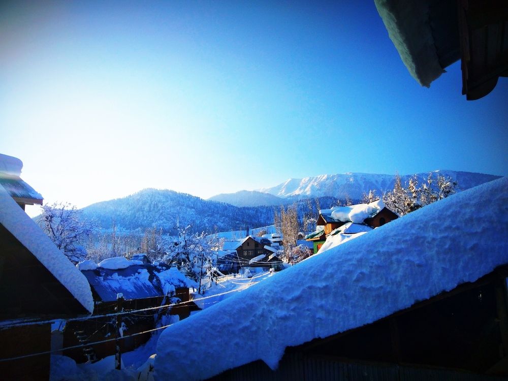 Photo #7368527