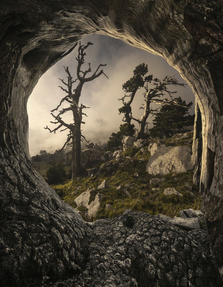 Pollino: A Look into the Past