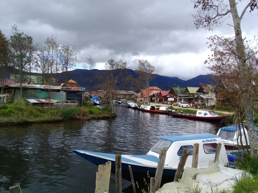 Photo #7368593