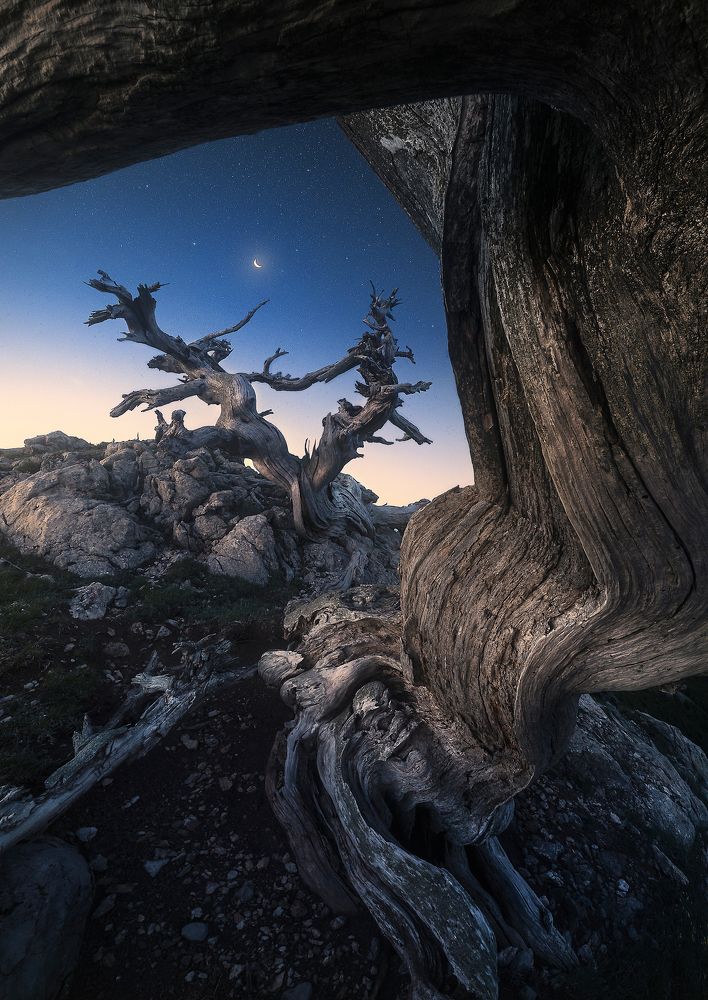 Photograph by Roksolyana Hilevych