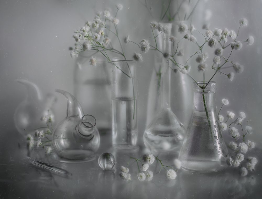 Photograph by Svoboda Andreeva