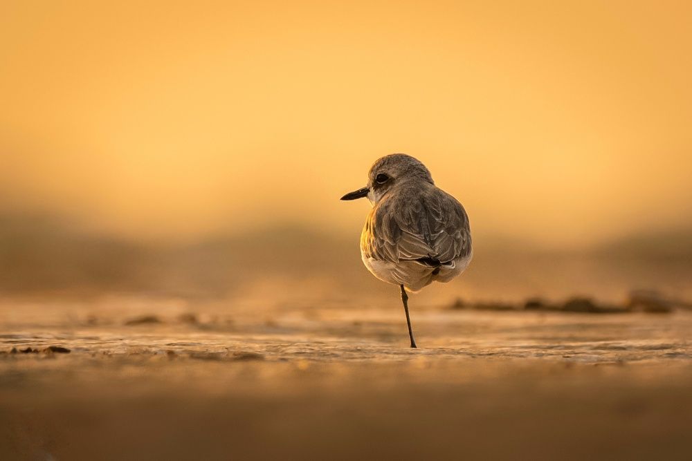 Photograph by Haseem jan