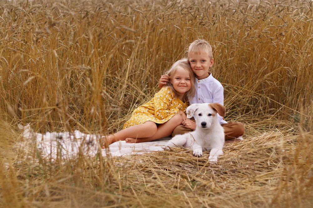 Photograph by Светлана Орешко