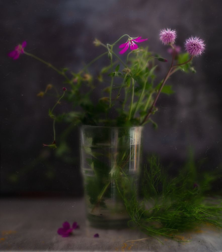 Photograph by Svoboda Andreeva