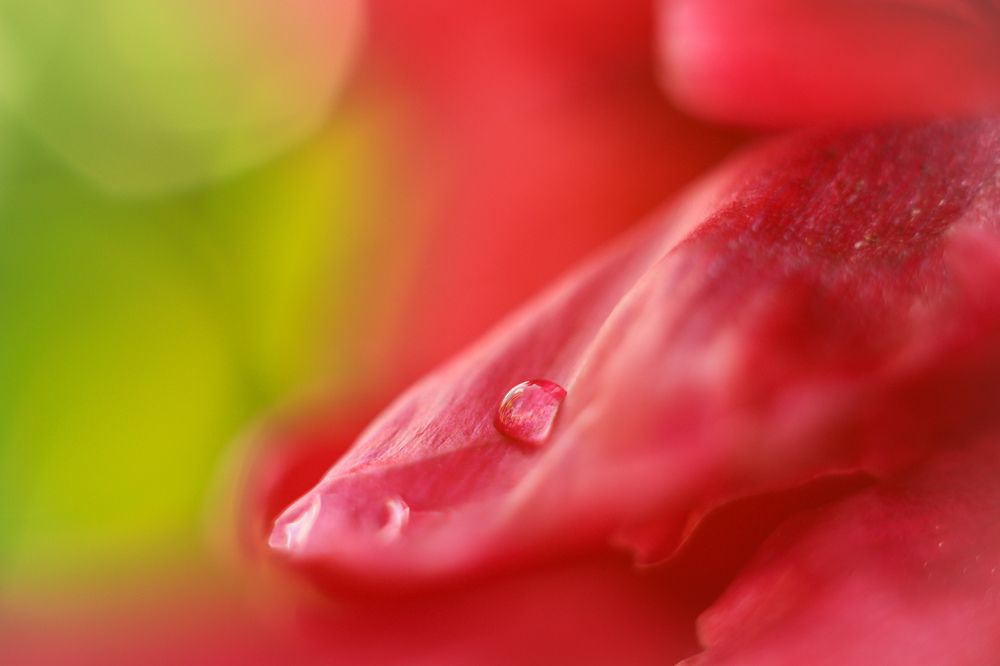 Photograph by Николай Стрельников