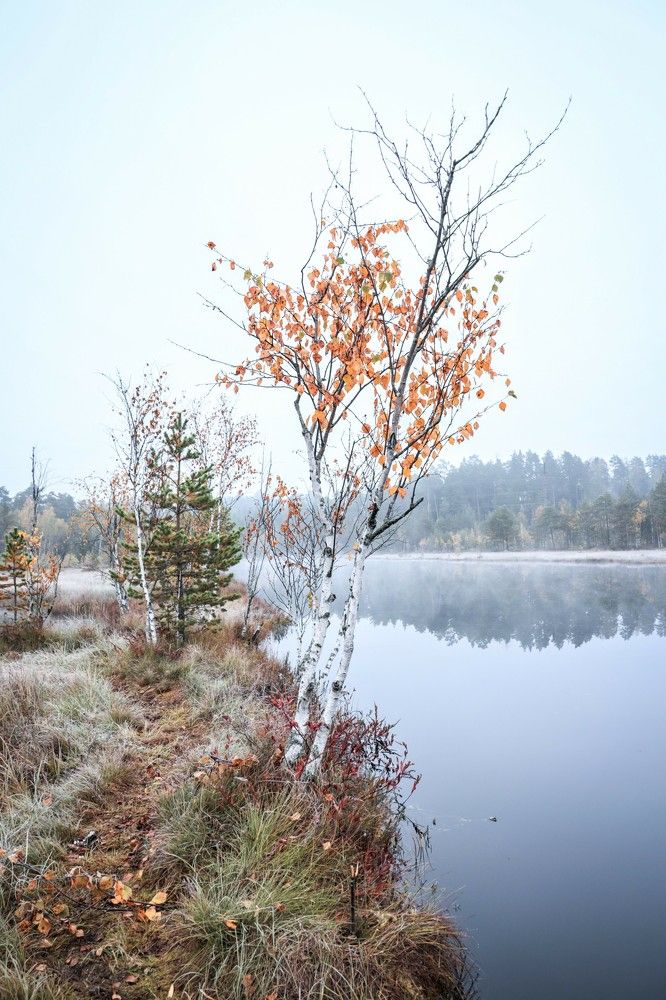 Photograph by Екатерина Лесная