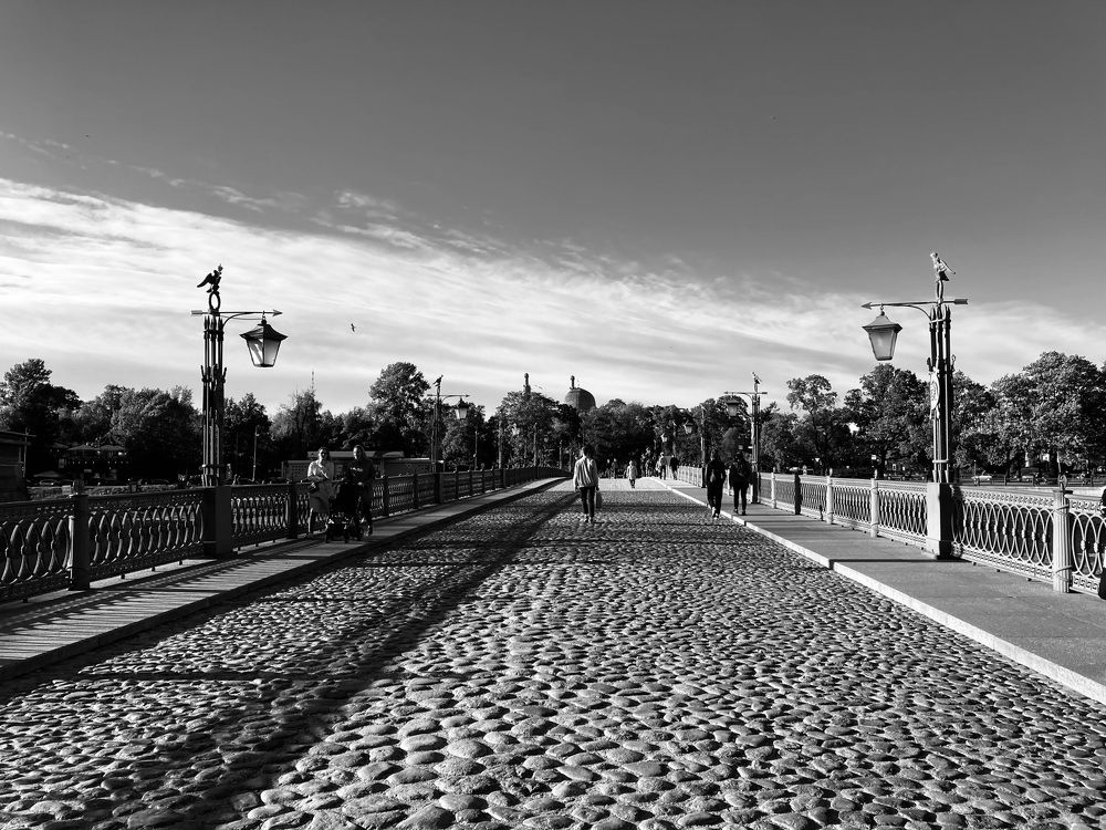 Фотография автора Анна Могилева