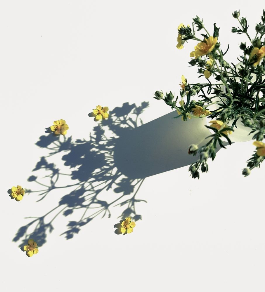 Photograph by Анна Чичилова