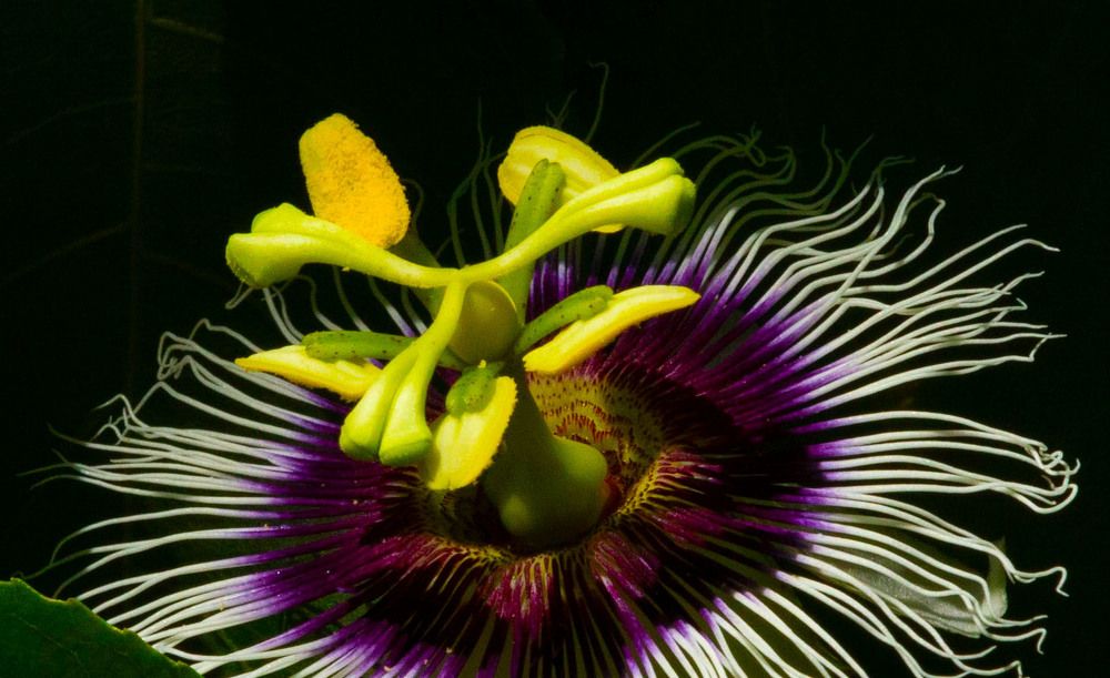 Photograph by ИРЕНА Федорова